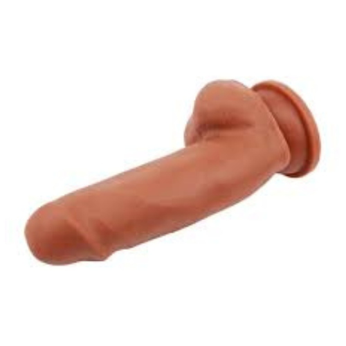 LECHER LATIN